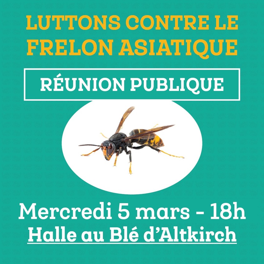 Réunion Publique