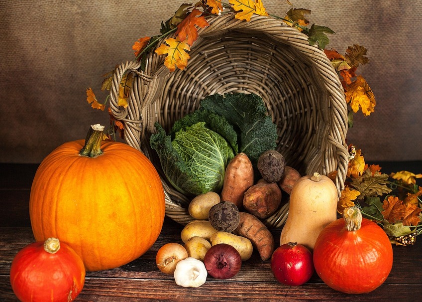Défi Foyers à Alimentation Positive