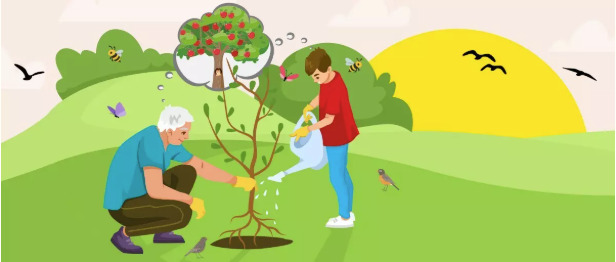 Concours arbre Ste Catherine