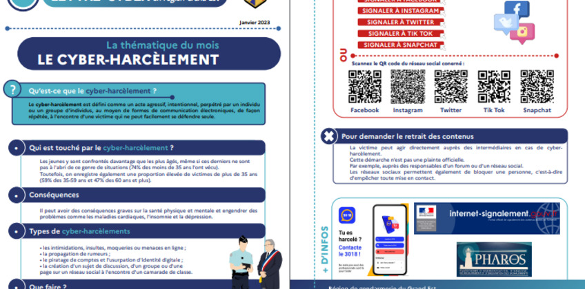 Cyber-Harcèlement