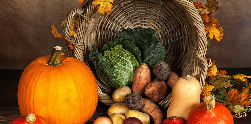 Défi Foyers à Alimentation Positive