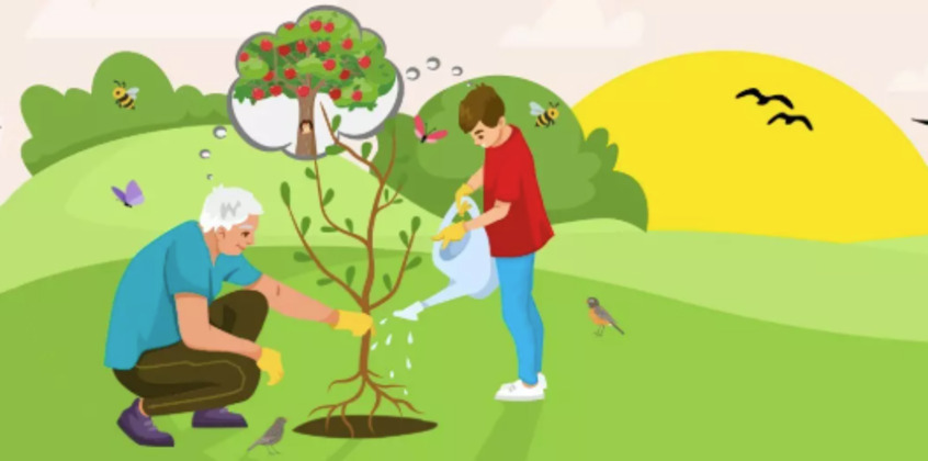 Concours arbre Ste Catherine