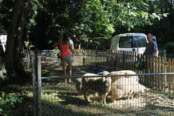 Fête de la nature à Hirtzbach