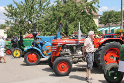 Fête de la nature à Hirtzbach