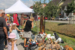 Fête de la nature à Hirtzbach