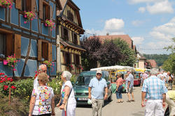 Fête de la nature à Hirtzbach