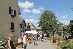 Fête de la nature à Hirtzbach