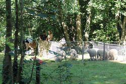 Fête de la nature à Hirtzbach