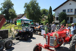 Fête de la nature à Hirtzbach