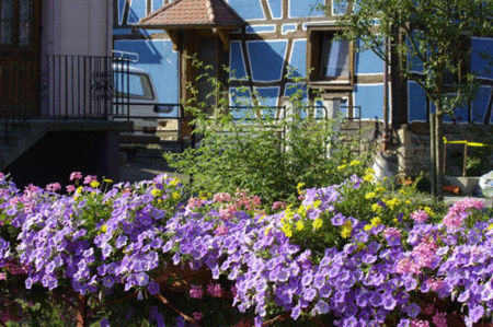 Hirtzbach, village fleuri Hirtzbach, village fleuri
